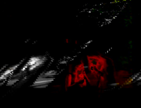 kitty.elliss kitty.elliss archive image