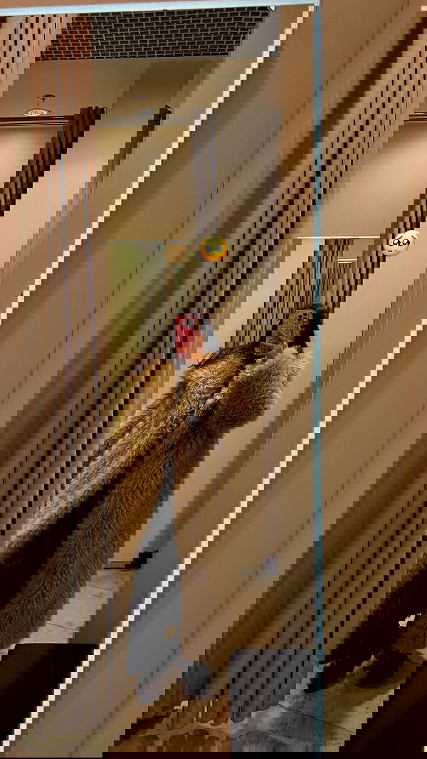 pollcherri pollcherri archive image