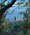 reneeebeller Altpins Profile Picture