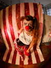 leebarbie Altpins Profile Picture
