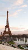 arielgino_ Altpins Profile Picture