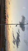 stav_menashe_ Altpins Profile Picture