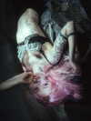 toffer.kim Altpins Profile Picture