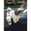 ashleybenson Altpins Profile Picture