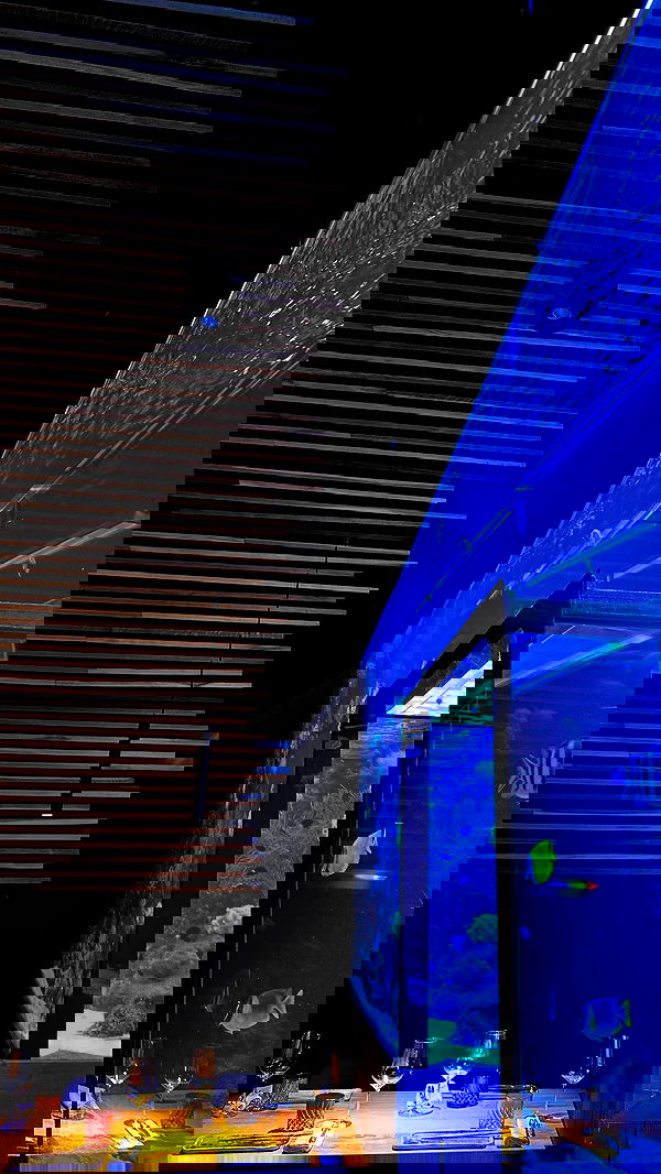 mishel116 mishel116 archive image