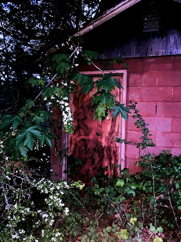 caterpiekae instagram image archive image