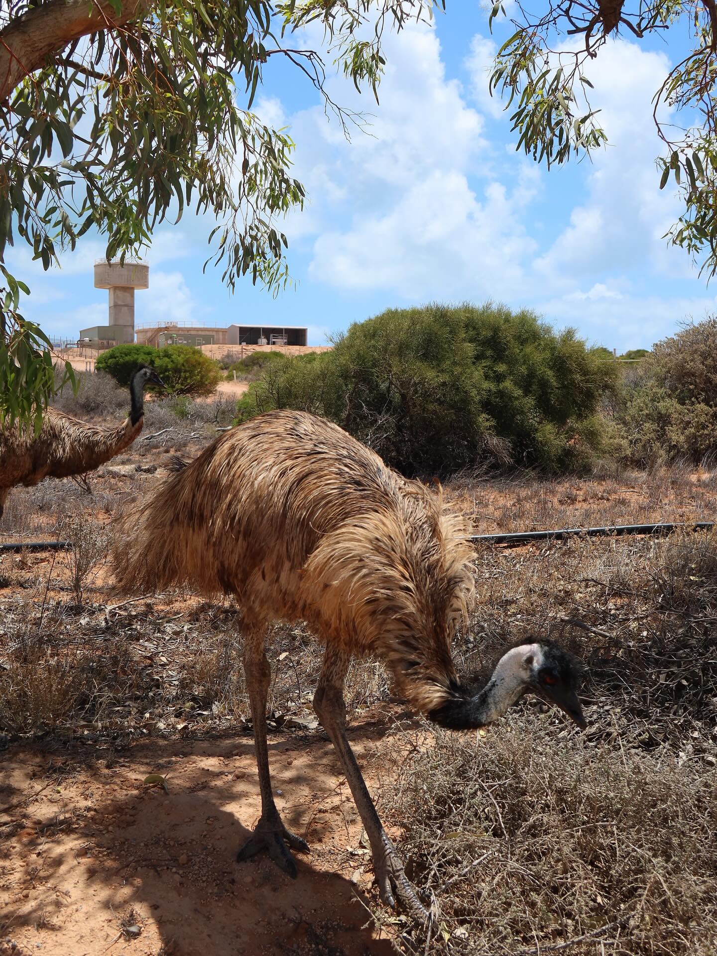 jtilb instagram image archive image