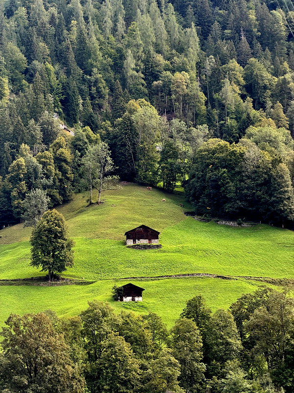 sullivang_ instagram image archive image