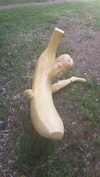 maori_cohen Altpins Profile Picture