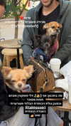 roni_ackerman Altpins Profile Picture