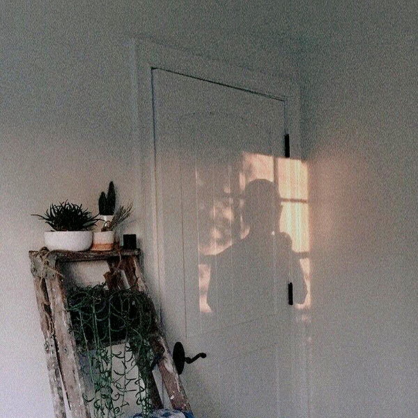 daxbin instagram image archive image