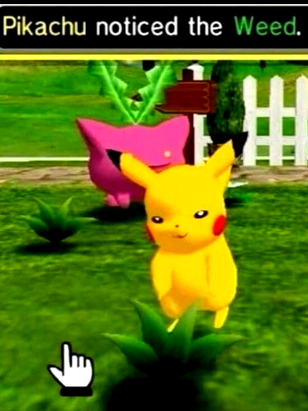 pikakaty instagram image archive image