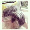 ashleybenson Altpins Profile Picture