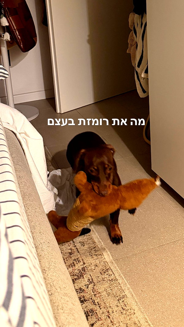 maya.keyy instagram image archive image