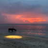 kafelnikova_a Altpins Profile Picture