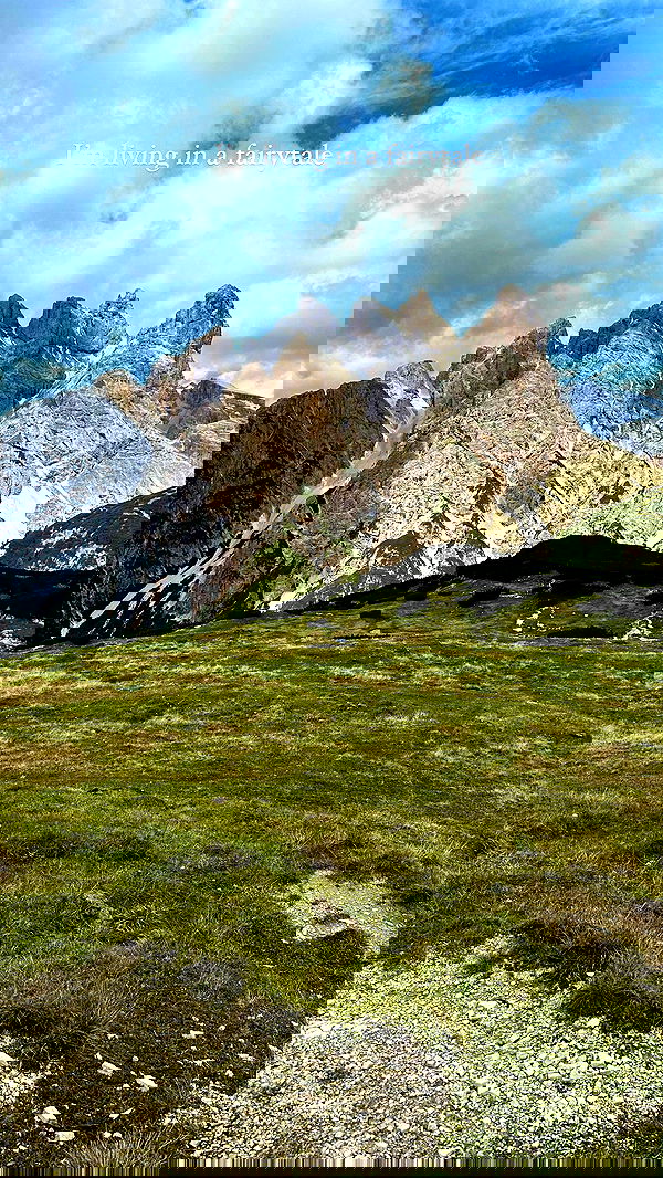 taylor.creeden taylor.creeden archive image