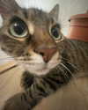 borkwsmh Altpins Profile Picture