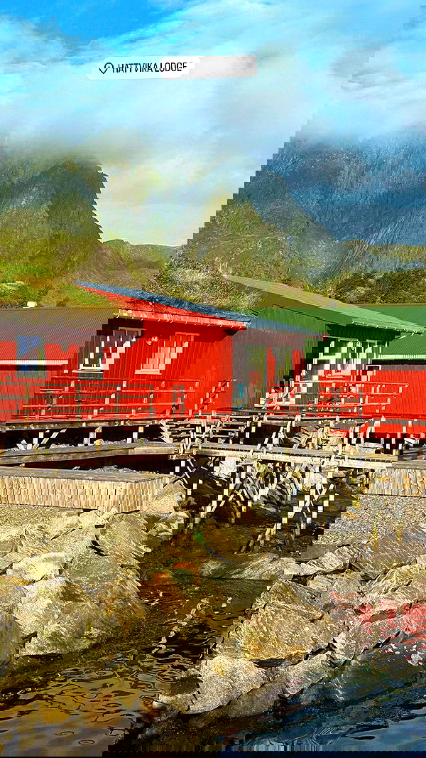 taylor.creeden taylor.creeden archive image