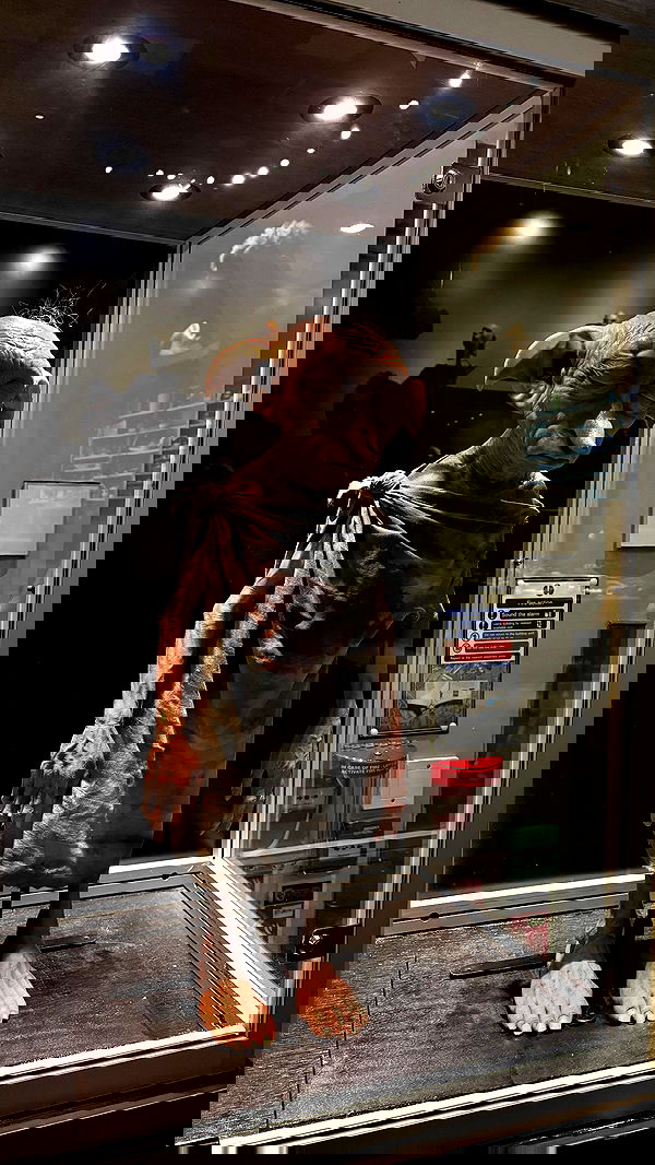 jaroslava_klavir jaroslava_klavir archive image