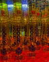 bugz4brainz Altpins Profile Picture