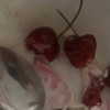 0nlygrlinthewrld Altpins Profile Picture