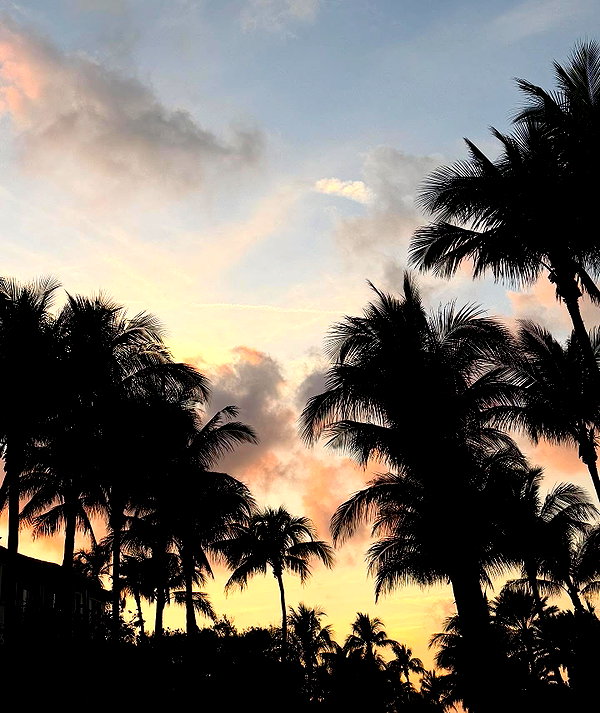 firedancer121 instagram image archive image