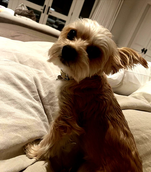 haileybieber instagram image archive image