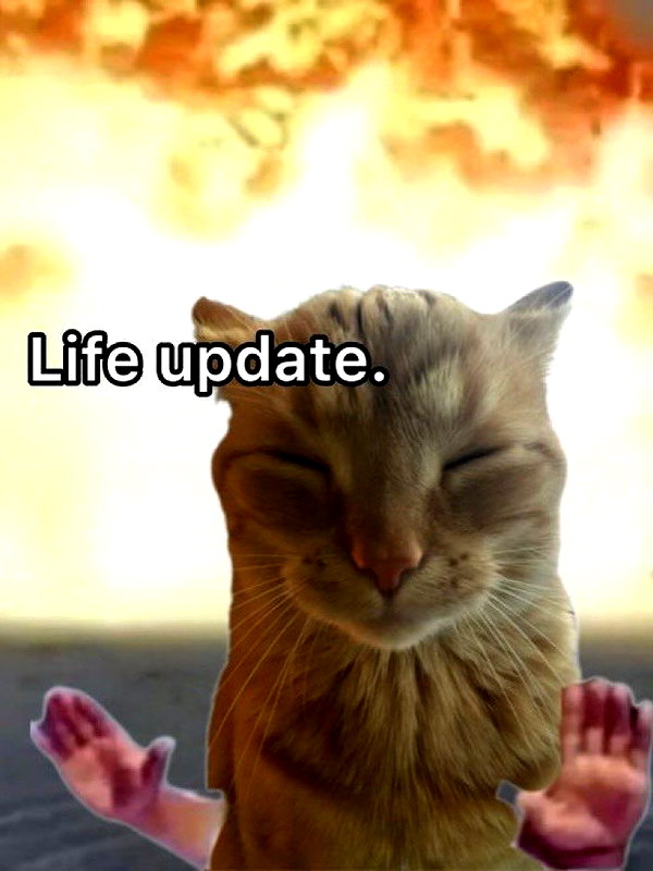 milkibunshehe instagram image archive image