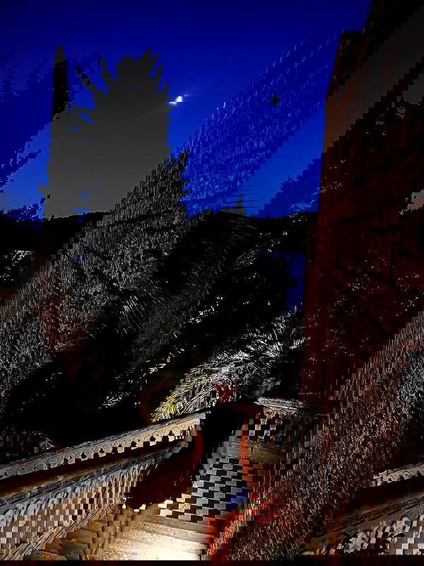 taylor.creeden taylor.creeden archive image