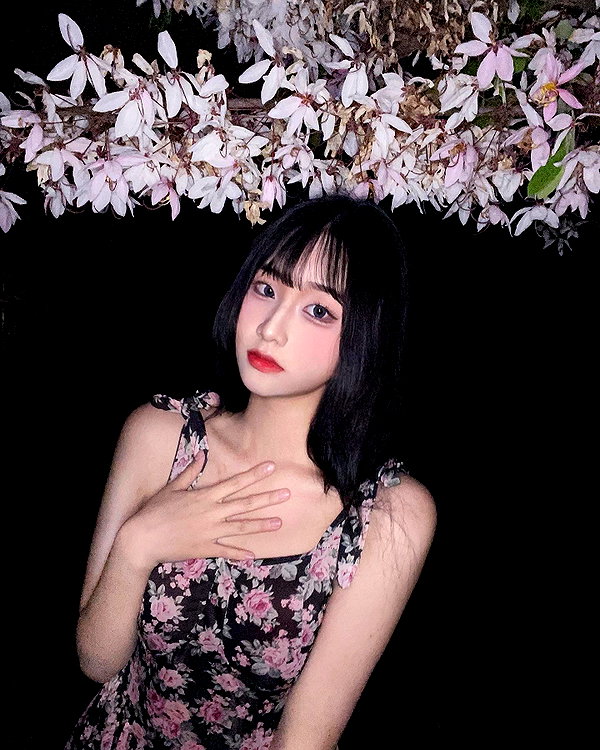 lai_931201 instagram image archive image