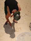 tatianakaer Altpins Profile Picture