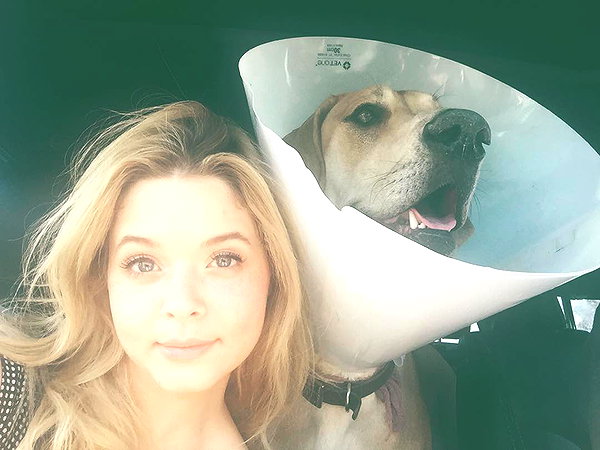 sashapieterse instagram image archive image