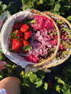 carolinezalog Altpins Profile Picture