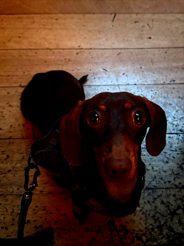 maya.keyy instagram image archive image