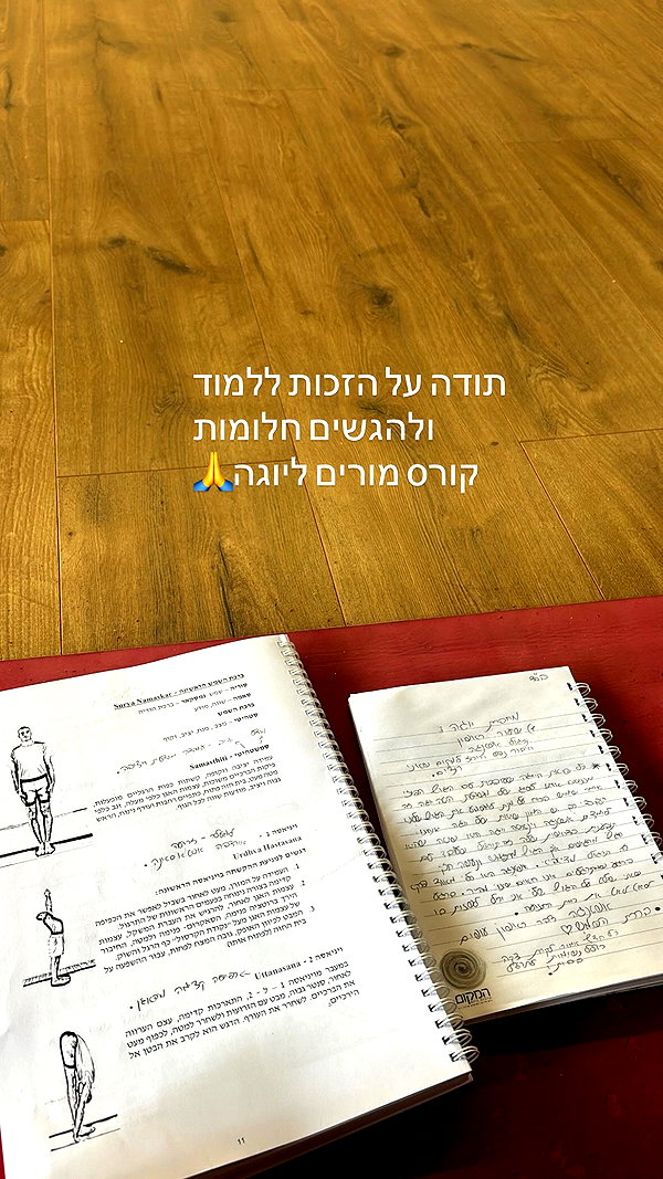 shirel.varol instagram image archive image