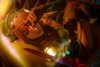 muze Altpins Profile Picture