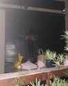 michal_cohen017 Altpins Profile Picture