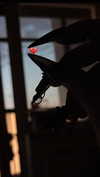 leanxhrt Altpins Profile Picture
