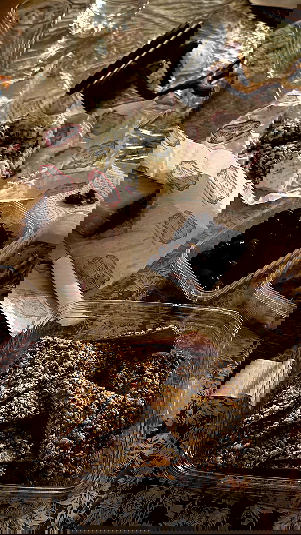 iambohema.v2 iambohema.v2 archive image