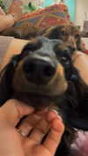 libby_reut Altpins Profile Picture
