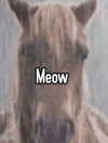 ellaexplicit_ Altpins Profile Picture