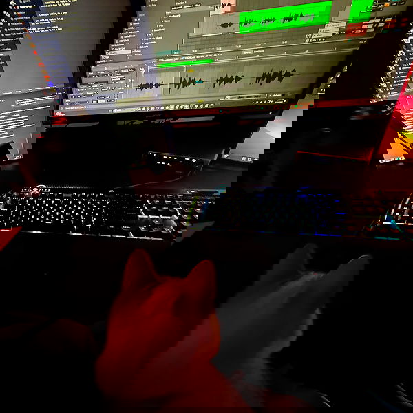 itsandreabotez itsandreabotez archive image