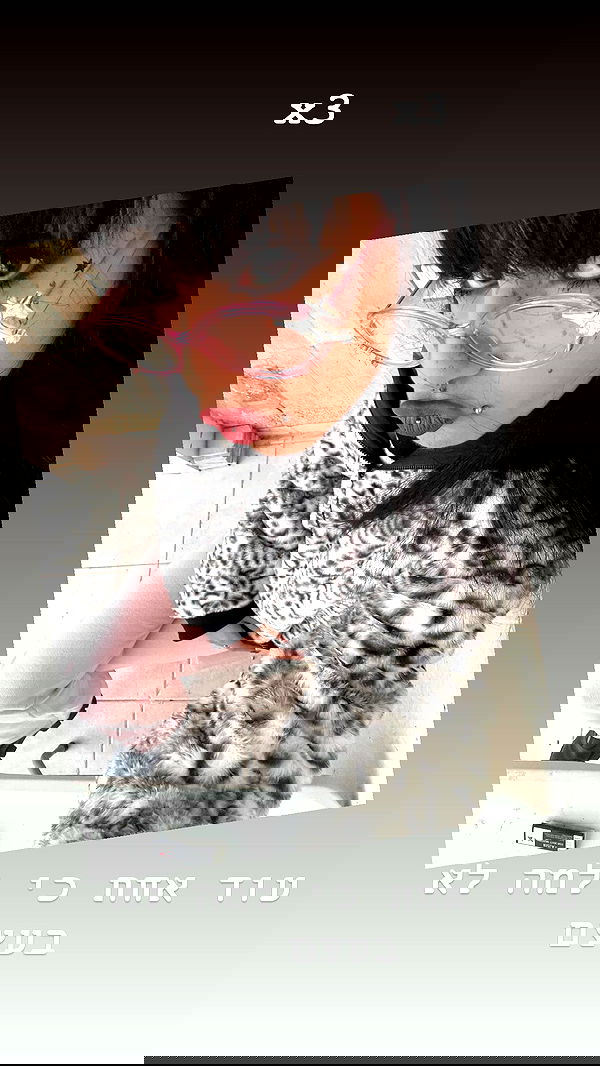 electrixjuggle electrixjuggle archive image