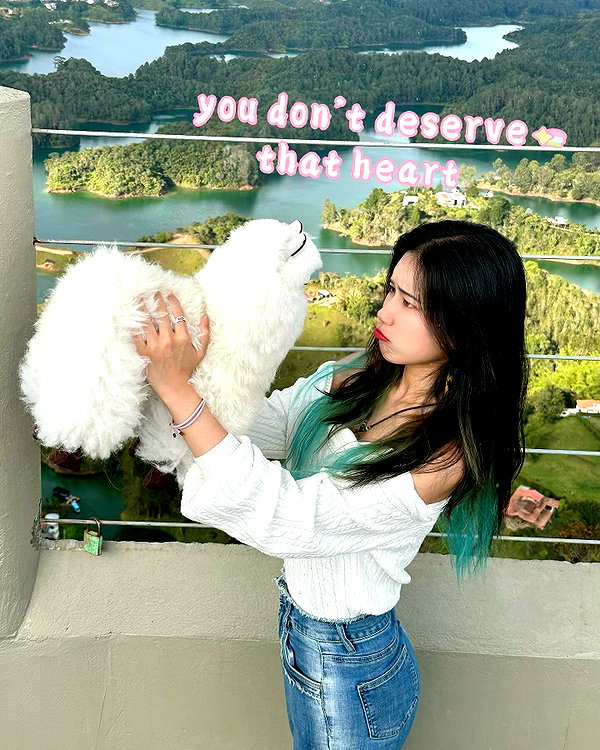 shulunc instagram image archive image