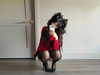 kaniiberry Altpins Profile Picture