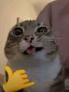 cata.leyah Altpins Profile Picture