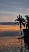 __yaheli_ Altpins Profile Picture