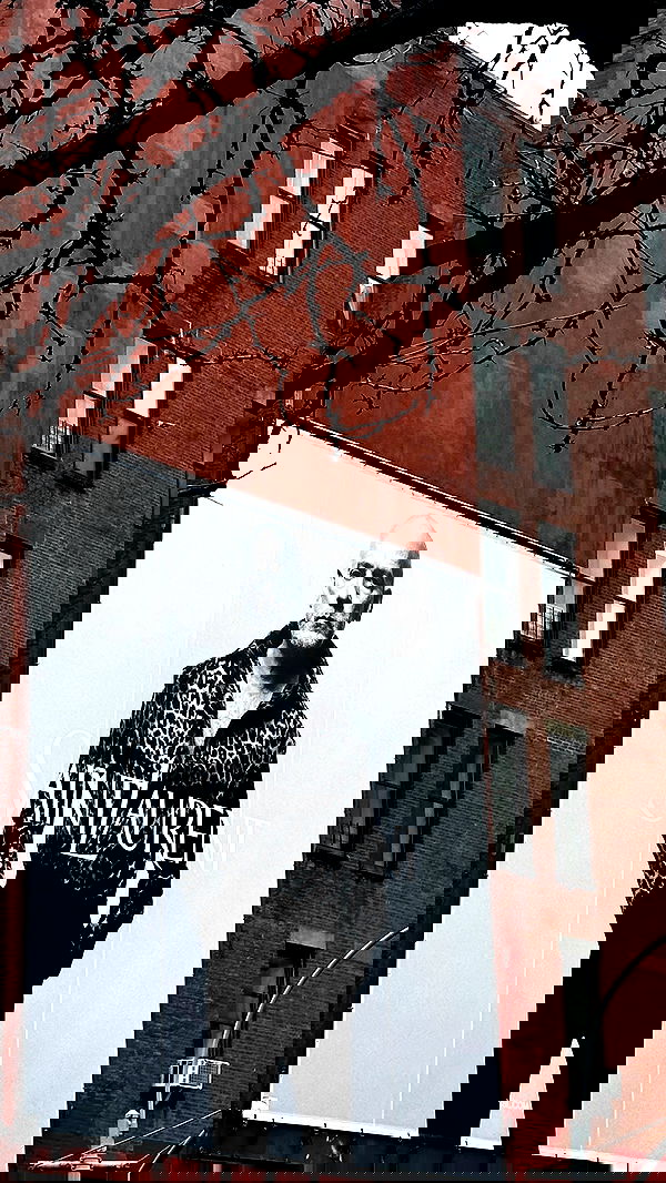 taylor.creeden taylor.creeden archive image