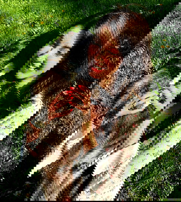 hanna_ky hanna_ky archive image