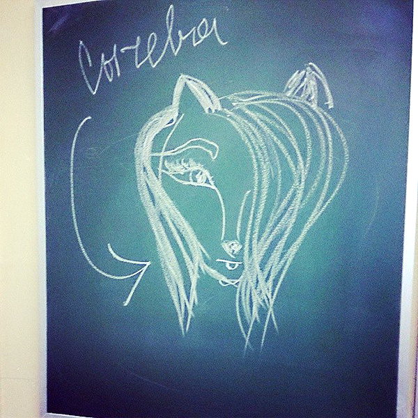 sychevskaya instagram image archive image